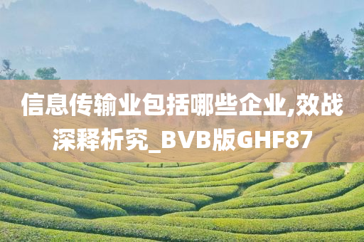 信息传输业包括哪些企业,效战深释析究_BVB版GHF87