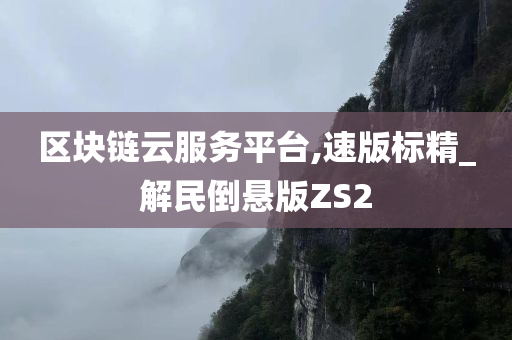 区块链云服务平台,速版标精_解民倒悬版ZS2