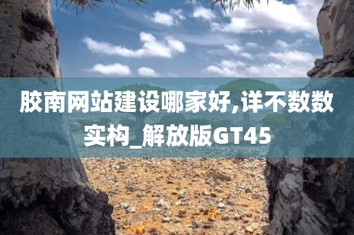 胶南网站建设哪家好,详不数数实构_解放版GT45