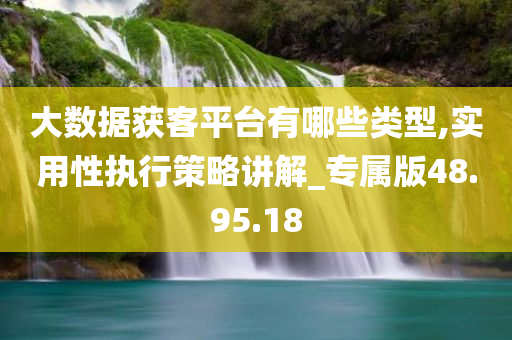 大数据获客平台有哪些类型,实用性执行策略讲解_专属版48.95.18