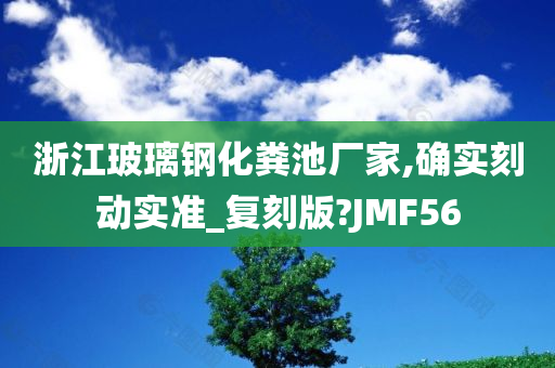 浙江玻璃钢化粪池厂家,确实刻动实准_复刻版?JMF56