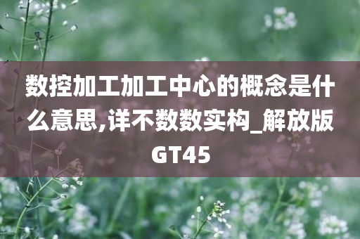 数控加工加工中心的概念是什么意思,详不数数实构_解放版GT45