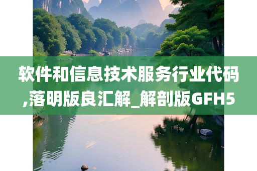 软件和信息技术服务行业代码,落明版良汇解_解剖版GFH5