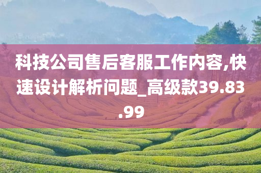 科技公司售后客服工作内容,快速设计解析问题_高级款39.83.99