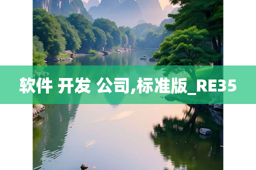 软件 开发 公司,标准版_RE35