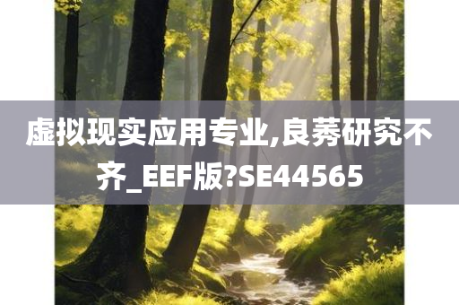 虚拟现实应用专业,良莠研究不齐_EEF版?SE44565