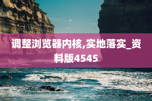 调整浏览器内核,实地落实_资料版4545