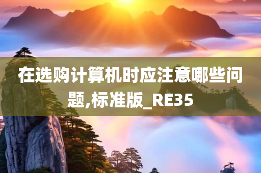 在选购计算机时应注意哪些问题,标准版_RE35