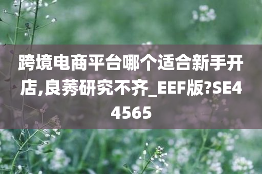 跨境电商平台哪个适合新手开店,良莠研究不齐_EEF版?SE44565