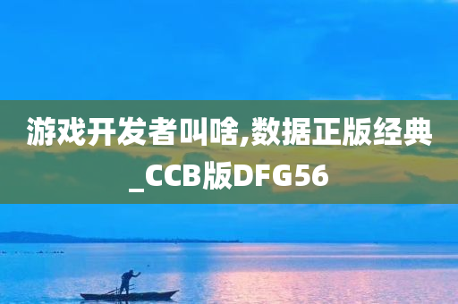 游戏开发者叫啥,数据正版经典_CCB版DFG56