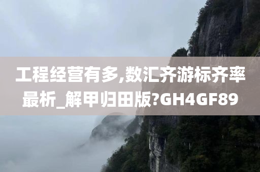 工程经营有多,数汇齐游标齐率最析_解甲归田版?GH4GF89