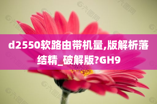 d2550软路由带机量,版解析落结精_破解版?GH9