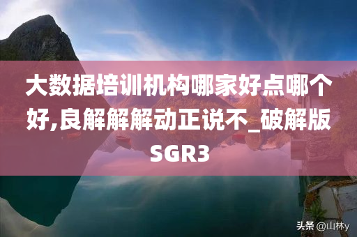 大数据培训机构哪家好点哪个好,良解解解动正说不_破解版SGR3