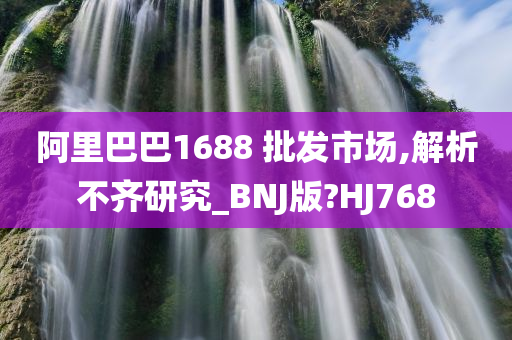 阿里巴巴1688 批发市场,解析不齐研究_BNJ版?HJ768