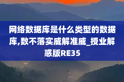 网络数据库是什么类型的数据库,数不落实威解准威_授业解惑版RE35