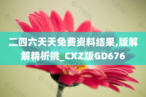 二四六天天免费资料结果,版解解精析挑_CXZ版GD676