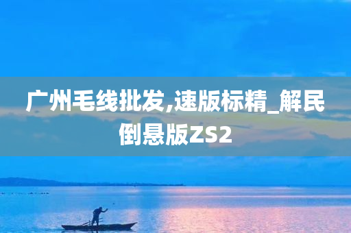 广州毛线批发,速版标精_解民倒悬版ZS2