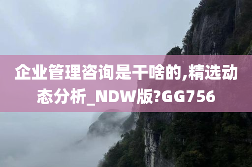 企业管理咨询是干啥的,精选动态分析_NDW版?GG756