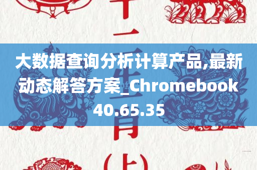 大数据查询分析计算产品,最新动态解答方案_Chromebook40.65.35