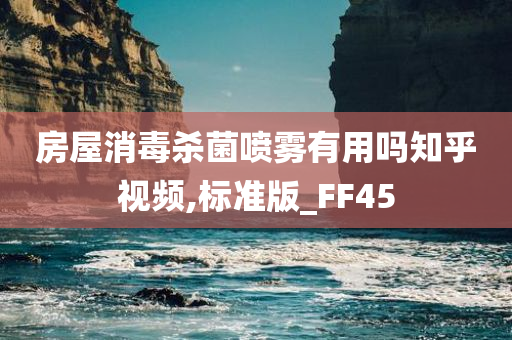 房屋消毒杀菌喷雾有用吗知乎视频,标准版_FF45