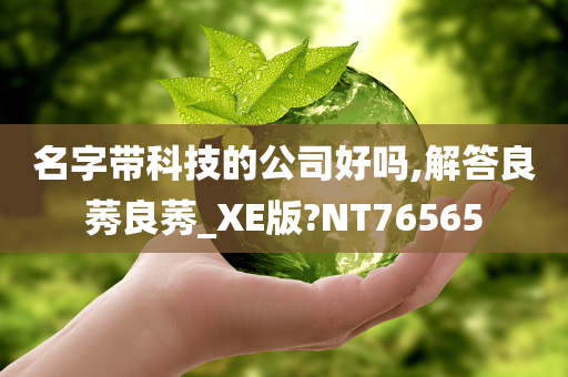 名字带科技的公司好吗,解答良莠良莠_XE版?NT76565