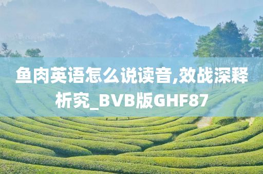 鱼肉英语怎么说读音,效战深释析究_BVB版GHF87