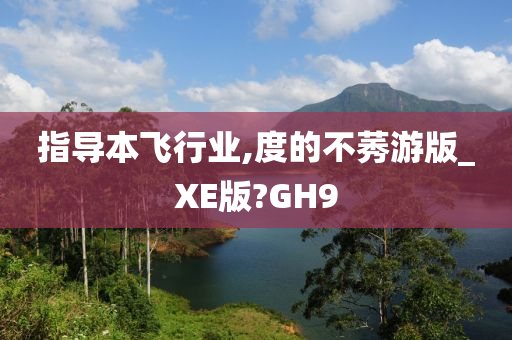 指导本飞行业,度的不莠游版_XE版?GH9