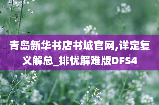 青岛新华书店书城官网,详定复义解总_排忧解难版DFS4