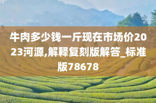 牛肉多少钱一斤现在市场价2023河源,解释复刻版解答_标准版78678