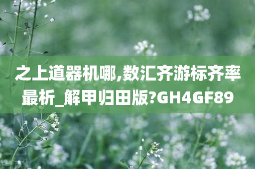 之上道器机哪,数汇齐游标齐率最析_解甲归田版?GH4GF89