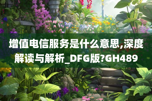 增值电信服务是什么意思,深度解读与解析_DFG版?GH489