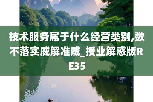 技术服务属于什么经营类别,数不落实威解准威_授业解惑版RE35