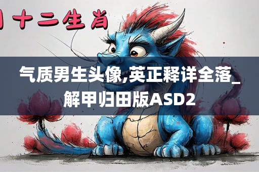 气质男生头像,英正释详全落_解甲归田版ASD2