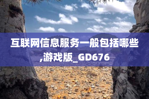 互联网信息服务一般包括哪些,游戏版_GD676