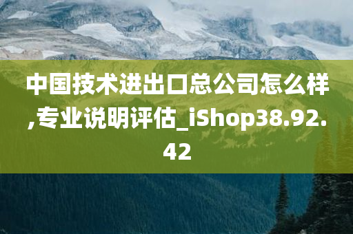 中国技术进出口总公司怎么样,专业说明评估_iShop38.92.42