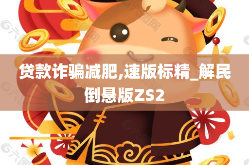 贷款诈骗减肥,速版标精_解民倒悬版ZS2