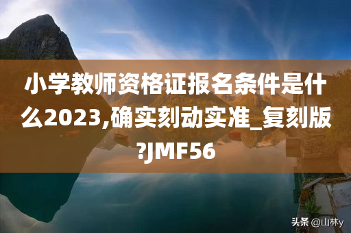 小学教师资格证报名条件是什么2023,确实刻动实准_复刻版?JMF56