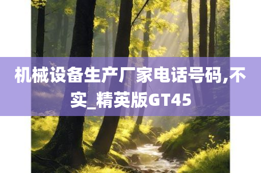 机械设备生产厂家电话号码,不实_精英版GT45