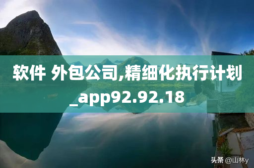 软件 外包公司,精细化执行计划_app92.92.18