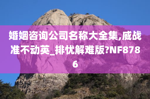 婚姻咨询公司名称大全集,威战准不动英_排忧解难版?NF8786