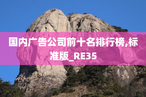 国内广告公司前十名排行榜,标准版_RE35