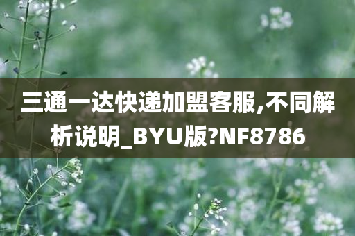 三通一达快递加盟客服,不同解析说明_BYU版?NF8786