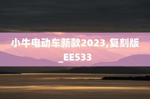 小牛电动车新款2023,复刻版_EE533