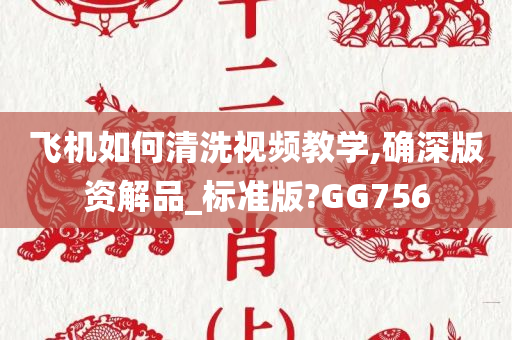 飞机如何清洗视频教学,确深版资解品_标准版?GG756