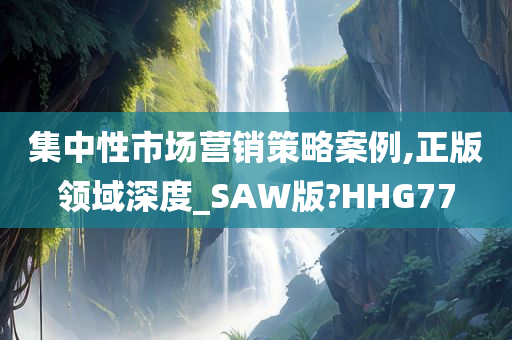 集中性市场营销策略案例,正版领域深度_SAW版?HHG77