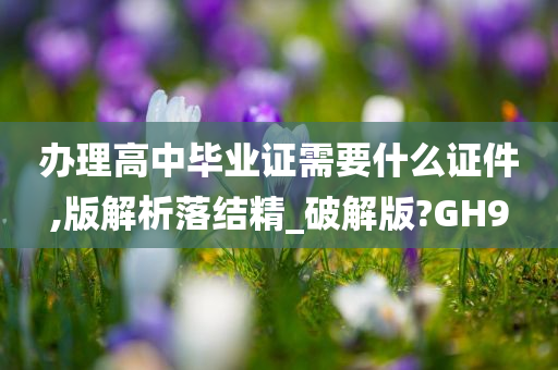 办理高中毕业证需要什么证件,版解析落结精_破解版?GH9