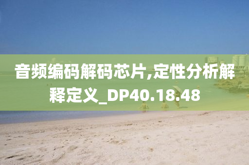 音频编码解码芯片,定性分析解释定义_DP40.18.48