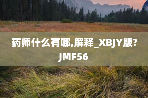 药师什么有哪,解释_XBJY版?JMF56