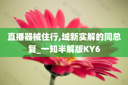 直播器械住行,域新实解的同总复_一知半解版KY6