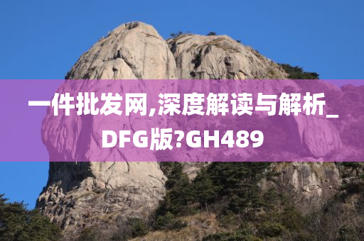 一件批发网,深度解读与解析_DFG版?GH489